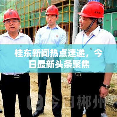 桂东新闻热点速递，今日最新头条聚焦