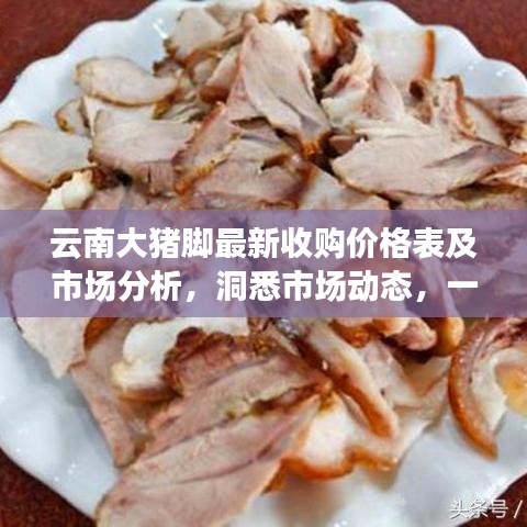 云南大猪脚最新收购价格表及市场分析，洞悉市场动态，一览行情资讯