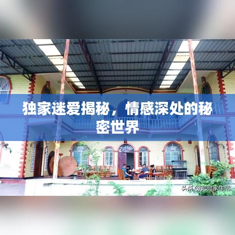 独家迷爱揭秘，情感深处的秘密世界