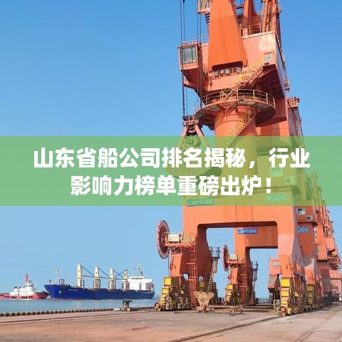 山东省船公司排名揭秘，行业影响力榜单重磅出炉！