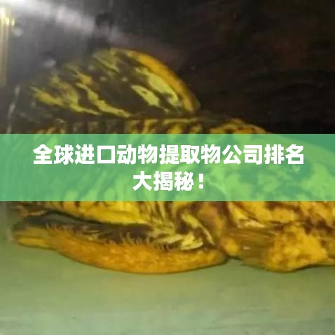 全球进口动物提取物公司排名大揭秘！
