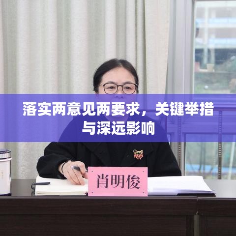 落实两意见两要求，关键举措与深远影响