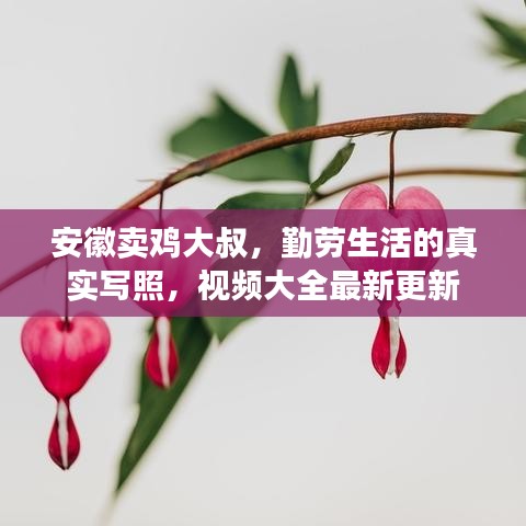 小心翼翼