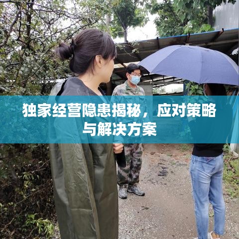 独家经营隐患揭秘，应对策略与解决方案