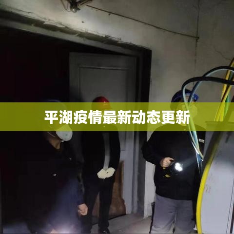 百鸟归巢