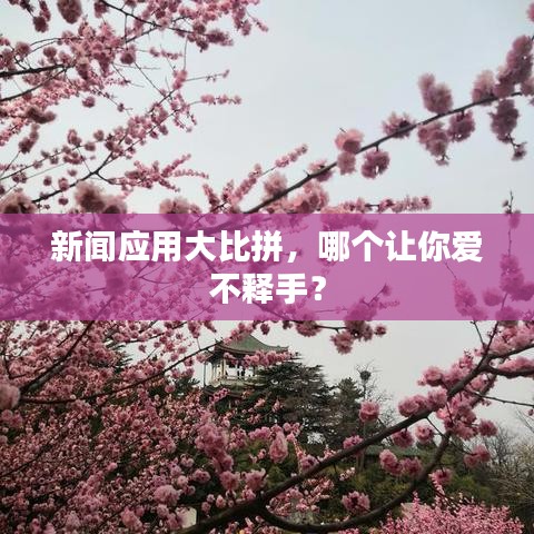 新闻应用大比拼，哪个让你爱不释手？