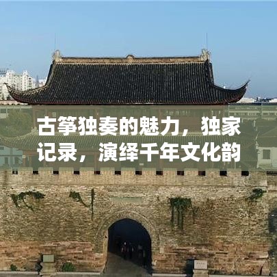 古筝独奏的魅力，独家记录，演绎千年文化韵律