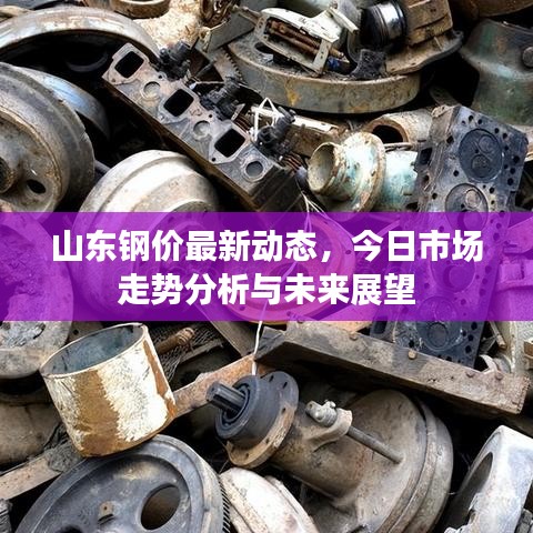 山东钢价最新动态，今日市场走势分析与未来展望