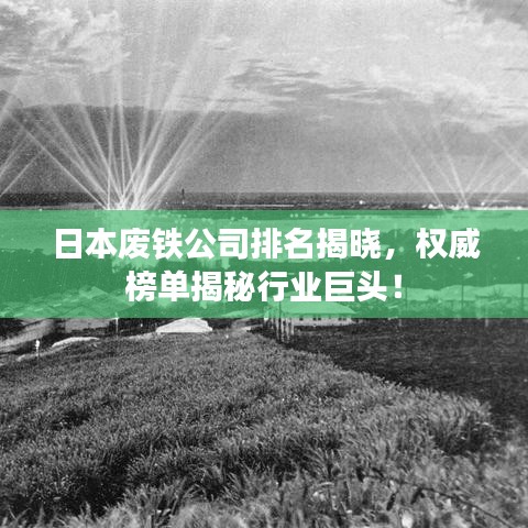 日本废铁公司排名揭晓，权威榜单揭秘行业巨头！