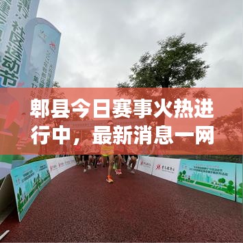 郫县今日赛事火热进行中，最新消息一网打尽！