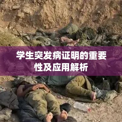学生突发病证明的重要性及应用解析
