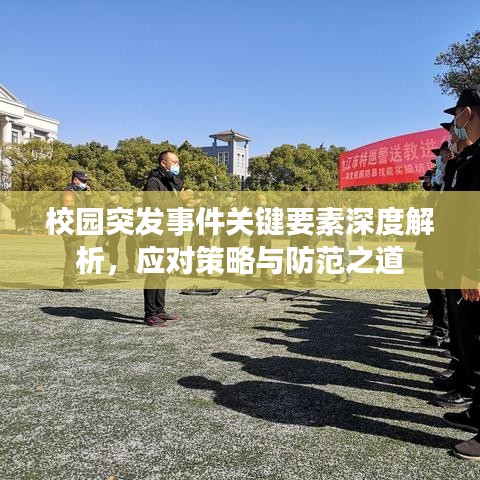 校园突发事件关键要素深度解析，应对策略与防范之道
