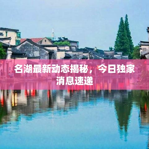 名湖最新动态揭秘，今日独家消息速递