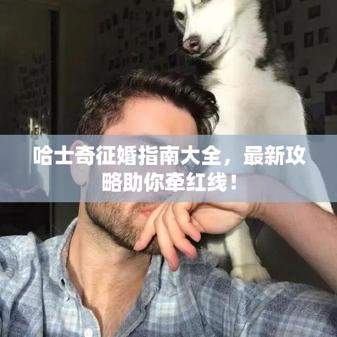哈士奇征婚指南大全，最新攻略助你牵红线！