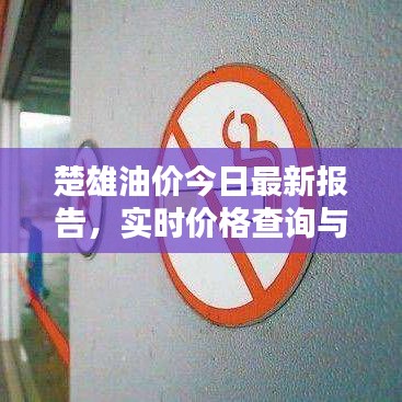 楚雄油价今日最新报告，实时价格查询与深度分析