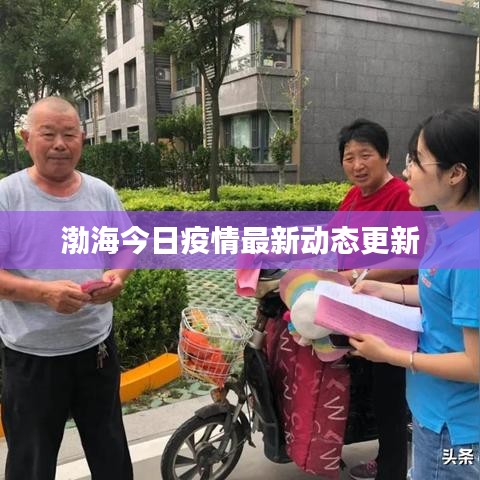 林下风范
