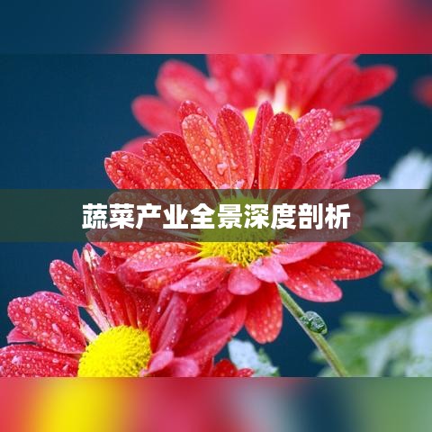 蔬菜产业全景深度剖析