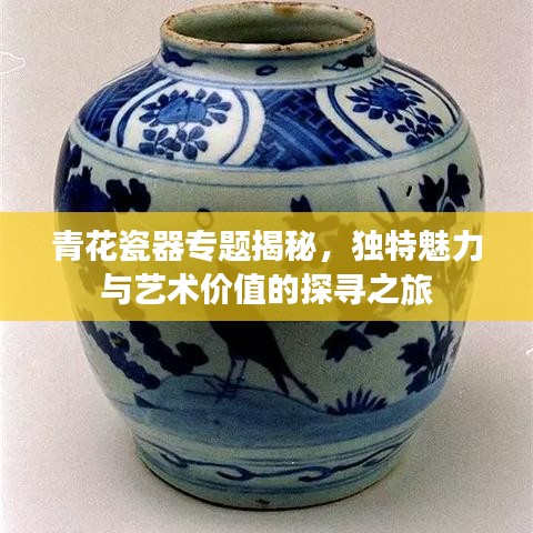 青花瓷器专题揭秘，独特魅力与艺术价值的探寻之旅