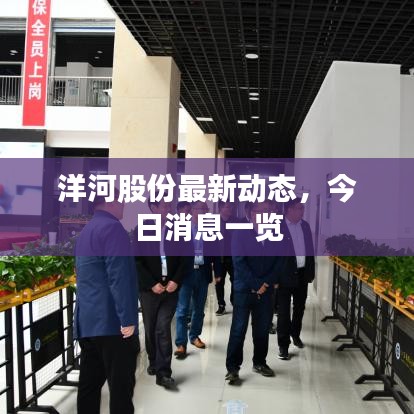 洋河股份最新动态，今日消息一览