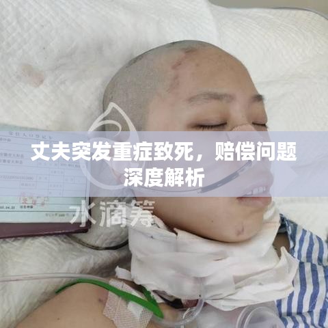 标新竖异