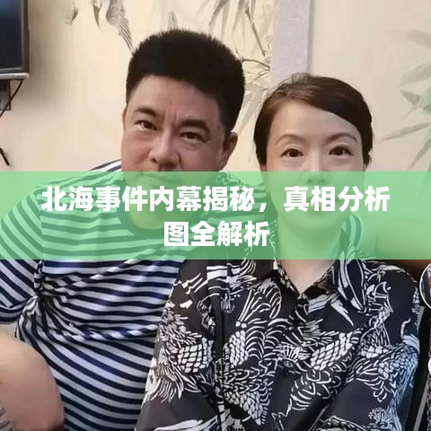 北海事件内幕揭秘，真相分析图全解析
