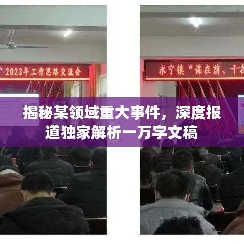 揭秘某领域重大事件，深度报道独家解析一万字文稿