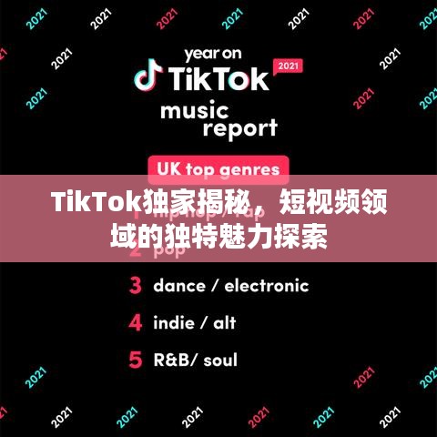 TikTok独家揭秘，短视频领域的独特魅力探索