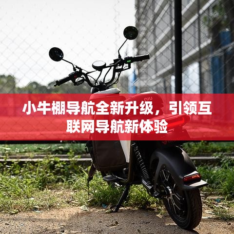 小牛棚导航全新升级，引领互联网导航新体验