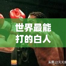 世界最能打的白人排行榜TOP10，拳坛精英战力大比拼