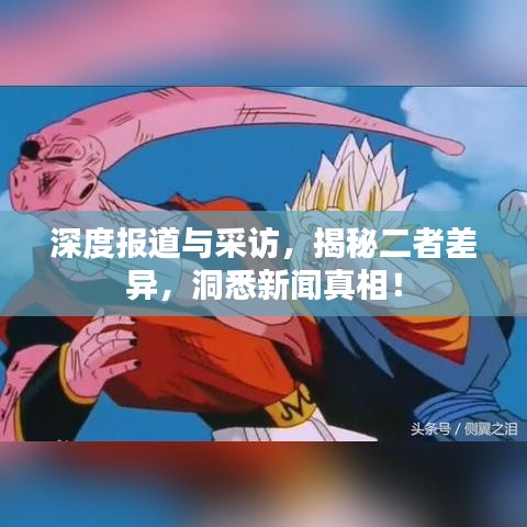 深度报道与采访，揭秘二者差异，洞悉新闻真相！