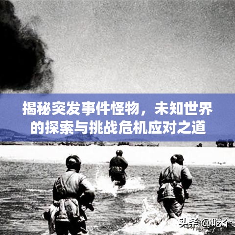 揭秘突发事件怪物，未知世界的探索与挑战危机应对之道