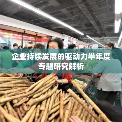 企业持续发展的驱动力半年度专题研究解析