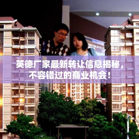 英德厂家最新转让信息揭秘，不容错过的商业机会！