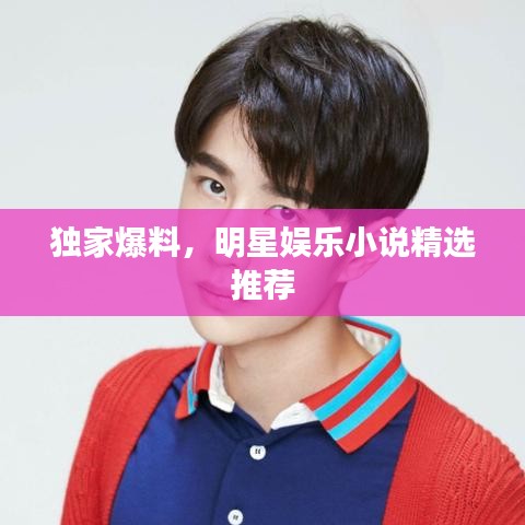 独家爆料，明星娱乐小说精选推荐