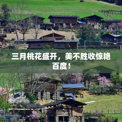 三月桃花盛开，美不胜收惊艳百度！