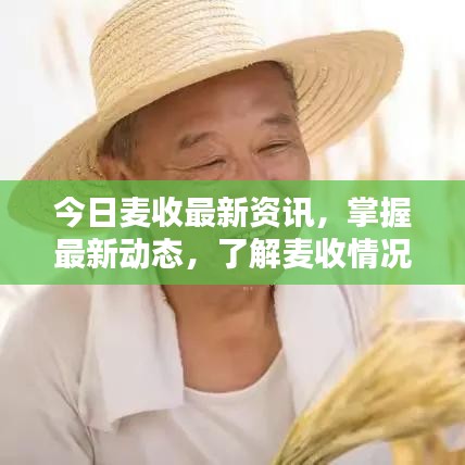 今日麦收最新资讯，掌握最新动态，了解麦收情况