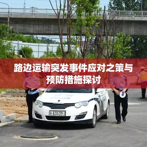 路边运输突发事件应对之策与预防措施探讨