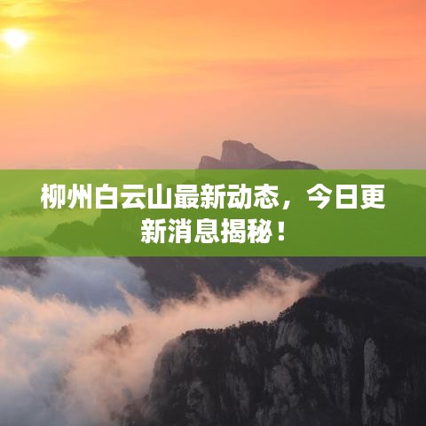 柳州白云山最新动态，今日更新消息揭秘！