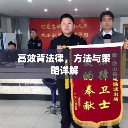 高效背法律，方法与策略详解