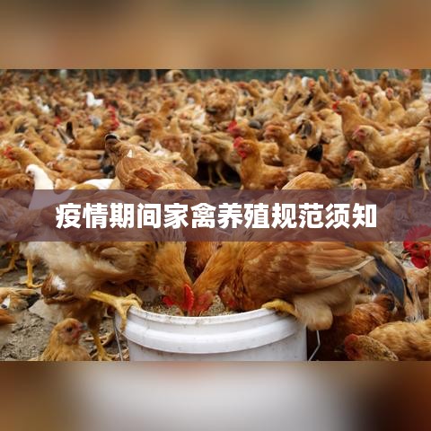 疫情期间家禽养殖规范须知