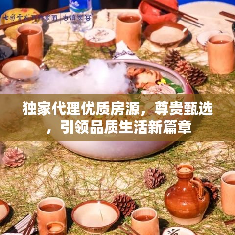 独家代理优质房源，尊贵甄选，引领品质生活新篇章