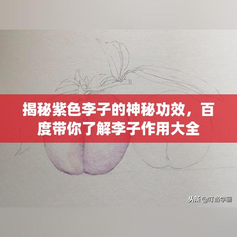 揭秘紫色李子的神秘功效，百度带你了解李子作用大全