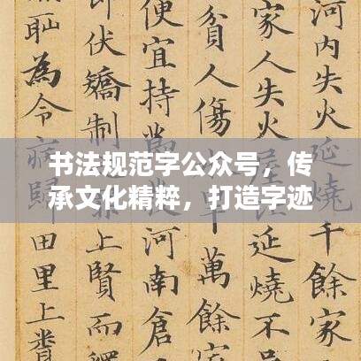 书法规范字公众号，传承文化精粹，打造字迹之美典范
