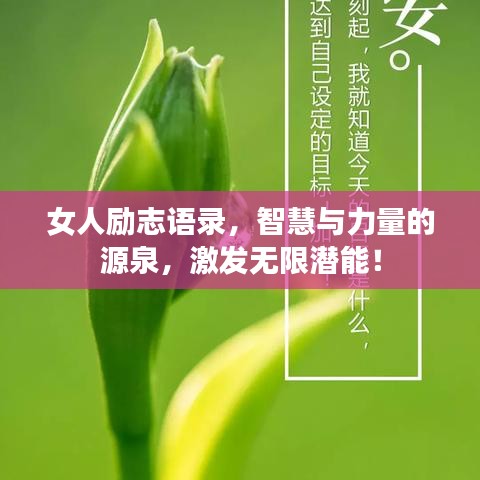 女人励志语录，智慧与力量的源泉，激发无限潜能！