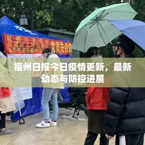 福州日报今日疫情更新，最新动态与防控进展