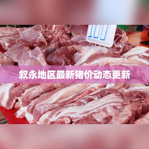 叙永地区最新猪价动态更新