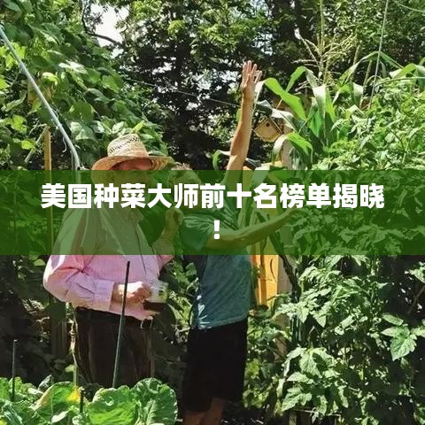 美国种菜大师前十名榜单揭晓！