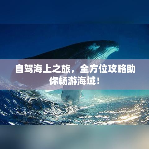 自驾海上之旅，全方位攻略助你畅游海域！