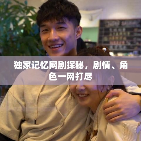 独家记忆网剧探秘，剧情、角色一网打尽