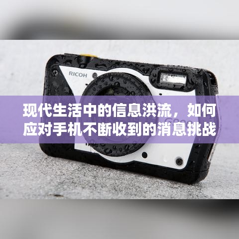 夫贵妻荣
